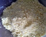 A picture of step 3 of Vickys Dried Fruit & Apple Scones, GF DF EF SF NF.