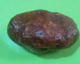 ખજૂર બદામ ની ચોકલેટ (Date almond chocolate Recipe in gujarati) રેસીપી સ્ટેપ3ફોટો