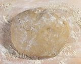 Mézeskalács mentesen (gm, tej és tojásmentes) recept fázis 2 fotója