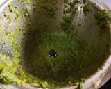 A picture of step 2 of Mint Veggies Rice.