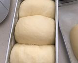 Foto langkah ke 4 dari resep Basic Milk Bread.