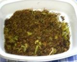 A picture of step 5 of Corn Silk Tea.