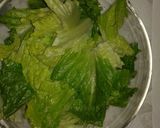 A picture of step 1 of crisp lettuce.
