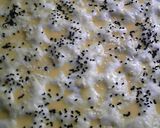 A picture of step 10 of Ramadan Pide (Turkish Bread).