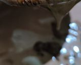 Foto langkah ke 4 dari resep Brownies Kukus Ny. Liem.