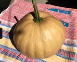 Foto del paso 2 de la receta: Calabaza Cristalizada