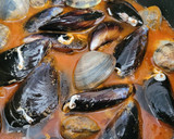 Foto del paso 3 de la receta: Espaguetis con almejas y mejillones en un plis plas