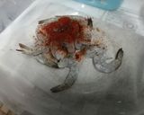 รูปขั้นตอนการทำที่ 1 ของ กุ้งกระเทียมโรยหน้าสมุนไพร