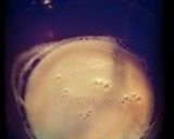 A picture of step 2 of Halloween Kabocha Squash Pudding.