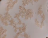 Foto del paso 2 de la receta: Arroz con Leche a mi Manera 🍚