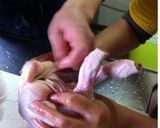 A picture of step 2 of Whole Roasted Chicken.
