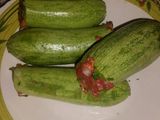 جريوات محشية