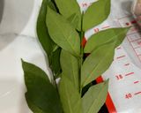 Hình bước làm 1 của món Thịt Ba Chỉ Nướng Lá Mắc Mật