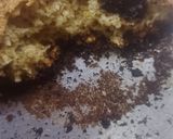 Foto del paso 4 de la receta: Cookies de harina de garbanzos y avena 🍪