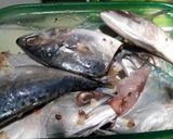Foto langkah ke 1 dari resep 29. Marinasi Ikan Kembung Simple, Enak & Gurih.
