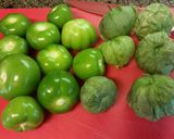 A picture of step 1 of Green chicken enchilada casserole.