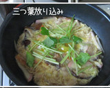 A picture of step 4 of Old-Fashioned 'Oyako Don' Chicken and Egg Rice Bowl.
