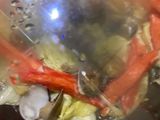 蔬菜蒸蛤蠣