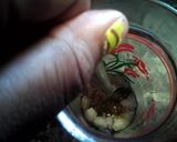 A picture of step 2 of Icee drink0.
