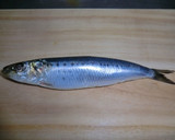 A picture of step 1 of How to Easily Butterfly Sardines.