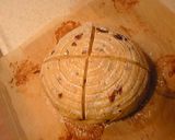 A picture of step 7 of Sweet Potato Pain de Campagne.