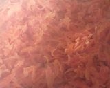 A picture of step 2 of Gajar ka halwa.