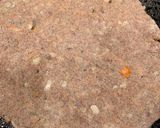 રાગી ના થેપલા (Ragi Thepla Recipe In Gujarati) રેસીપી સ્ટેપ3ફોટો