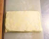 A picture of step 10 of Rapid Pastry Dough.