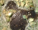 A picture of step 2 of Eggs, Avocado, and blue cheese.