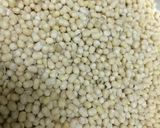A picture of step 1 of Samai Idli / little millet idli.