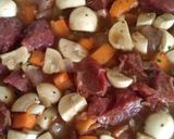 A picture of step 7 of Vickys Boeuf Bourguignon, GF DF EF SF NF.