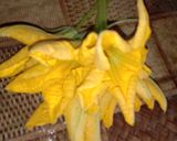 কুমড়ো ফুলের বড়া(kumro fuler bora recipe in Bengali) রেসিপির ধাপ 1 ছবি