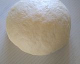 Foto del paso 2 de la receta: Tortas fritas dulces italianas