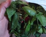 Foto langkah ke 2 dari resep Sayur asem bening, pakai mangga muda.