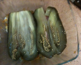 Foto del paso 11 de la receta: Berenjena en capas o lazaña de berenjena
