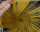A picture of step 2 of No Fail! 3 Easy Points for Easy Aglio e Olio.