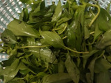 Tumis tongkol daun kemanggi