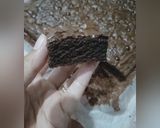 Foto langkah ke 8 dari resep Brownies no mixer.