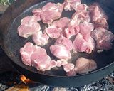 Foto del paso 2 de la receta: Bondiola a la Cerveza Desmechada