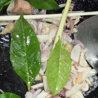 Langkah 7