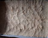 A picture of step 4 of Raspberry oat crumblies.