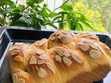 Bánh mì hoa cúc Harrys (ct SD)