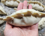 Foto del paso 5 de la receta: 🍗 Empanadas de pollo sabrosas 🍗 para freír, para hornear, para freezar 😉