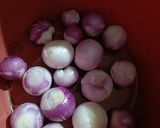 A picture of step 1 of Instant Onion Pickle.