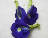 A picture of step 1 of Butterfly pea flower Drink.