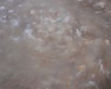 Foto del paso 2 de la receta: Arroz libanés🥣