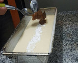 Foto del paso 7 de la receta: Budín o tortas fácil, rico y económico