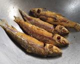 A picture of step 1 of Green Fish.