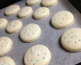 A picture of step 12 of Frozen Macarons.