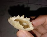 Foto langkah ke 6 dari resep Cuanki lidah.